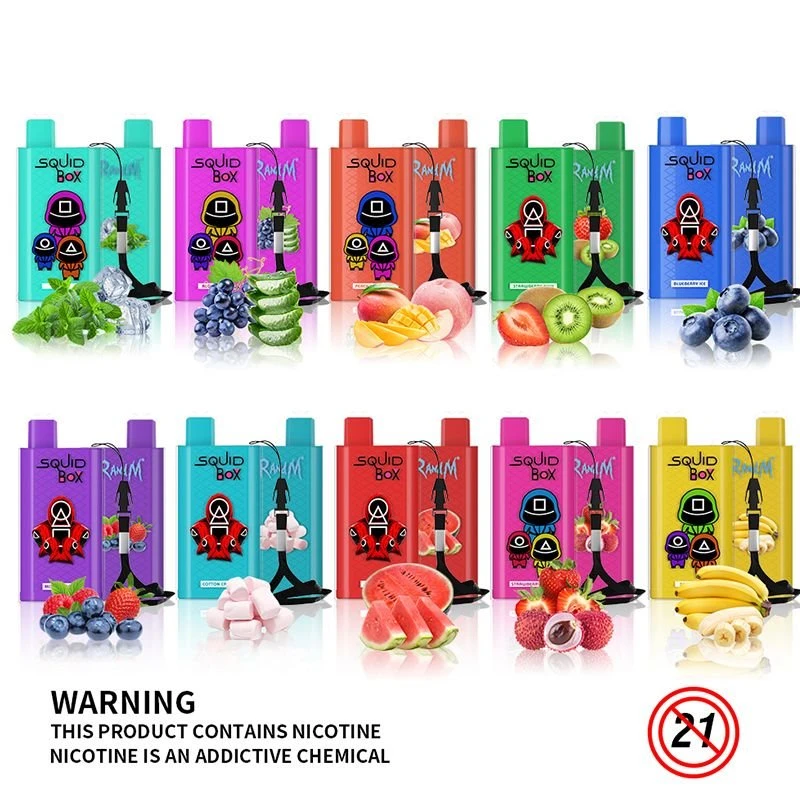 product-800-800 RandM SQUID BOX electroic cigarette
