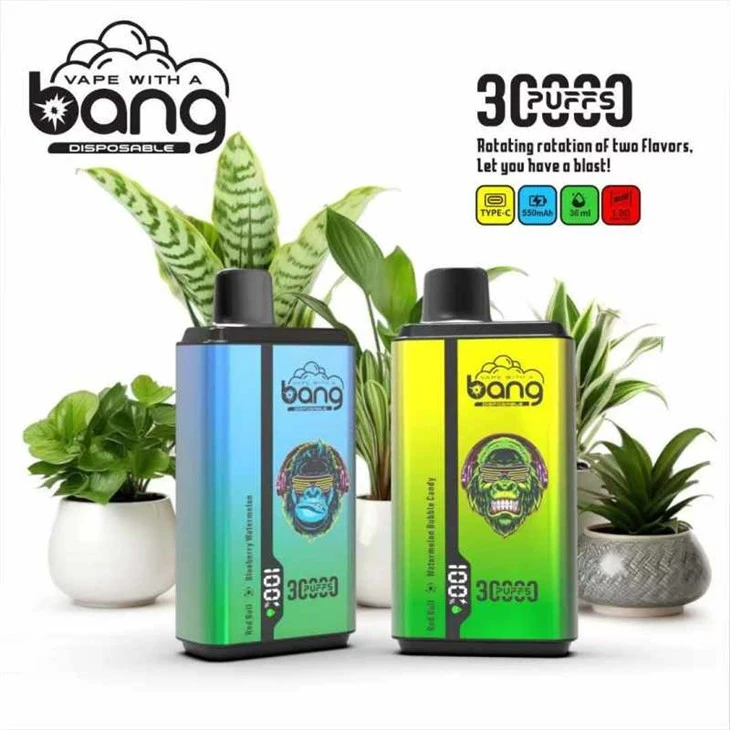 Bang 30000 Dual Taste Bang 30000 Dual Taste