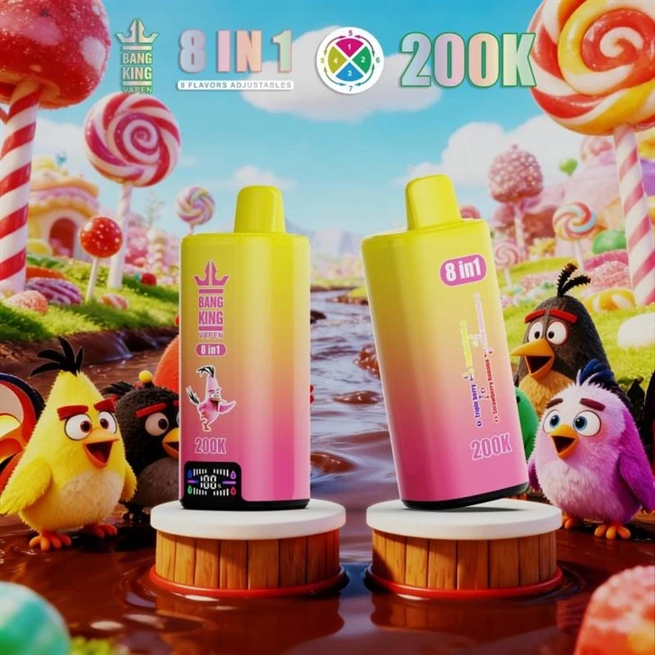 BANG KING VAPEN 8IN1 200000 manufacturers