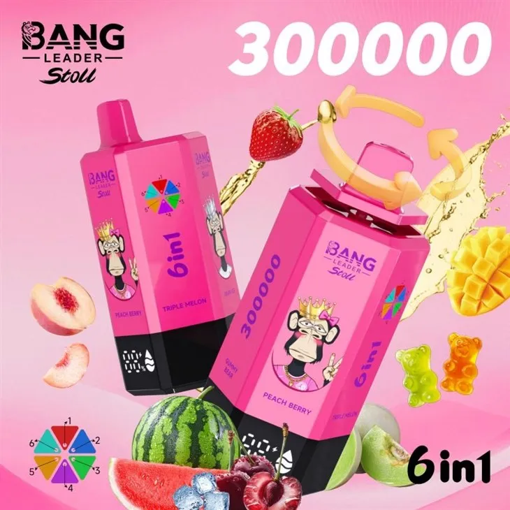 bang leader 300000 9