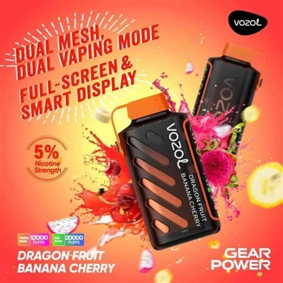 Πώς είναι η αναθεώρηση του Vozol Gear Power;