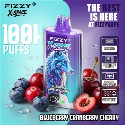 Fizzy 100K X Space: Δεν είναι τίποτα αξιοσημείωτο για μια συσκευή να διαρκέσε...