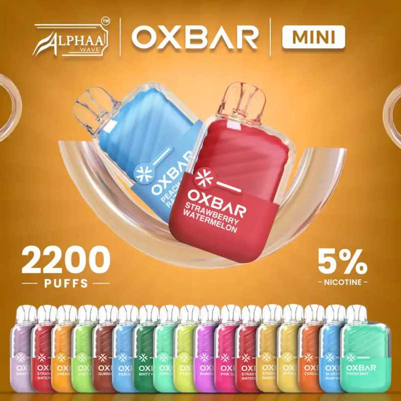 oxbarminiOXBAR Mini 2200