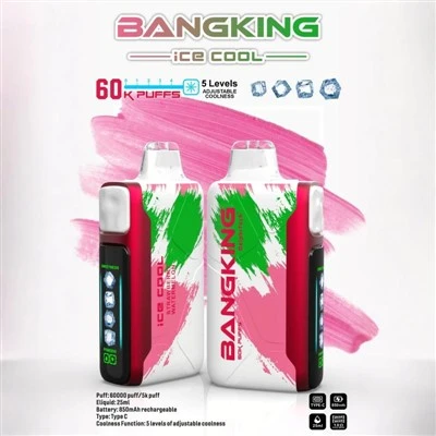 BANG KING ICE COOL 60K