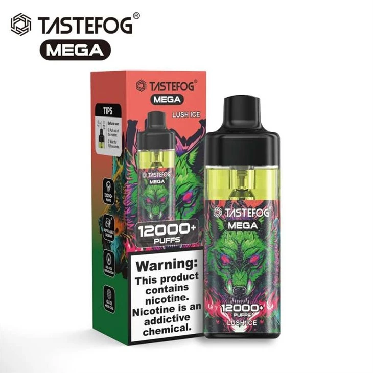 TASTEFOG MEGA 12000 2
