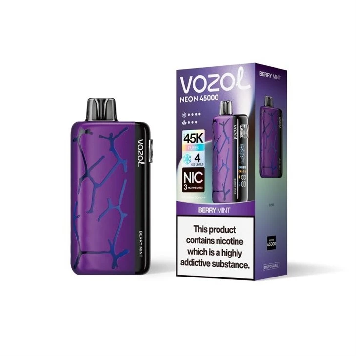 BERRY MINT_Vozol NEON 45000